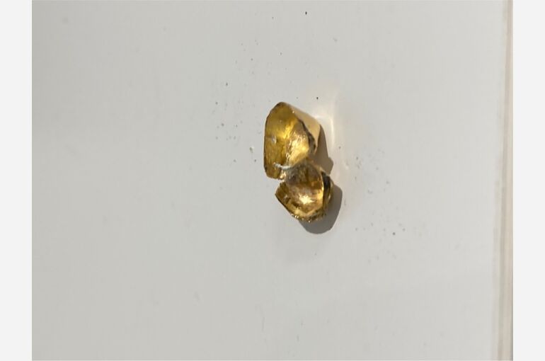 S__155713538