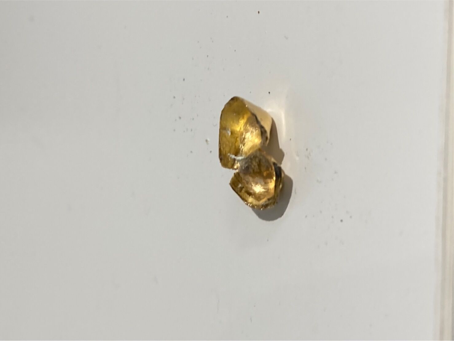 S__155713538