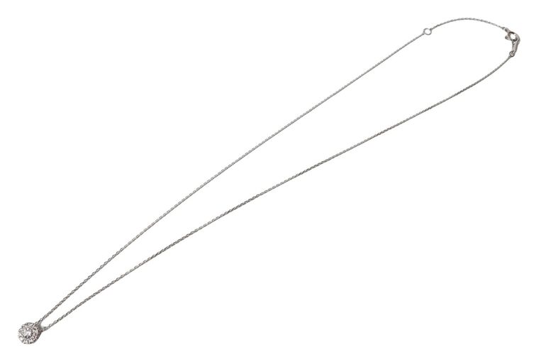 S__3924059